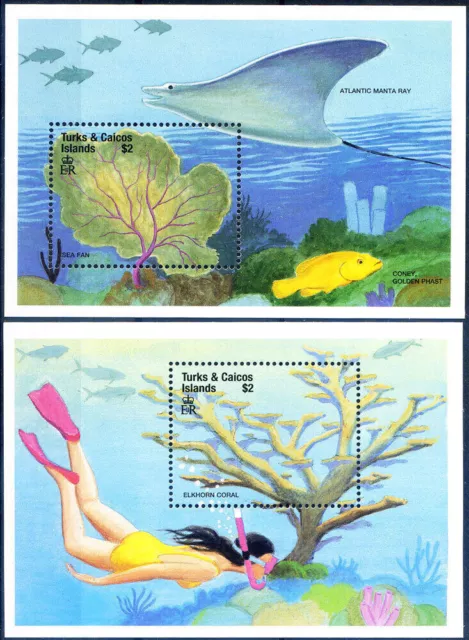 Flora sottomarina 1999.