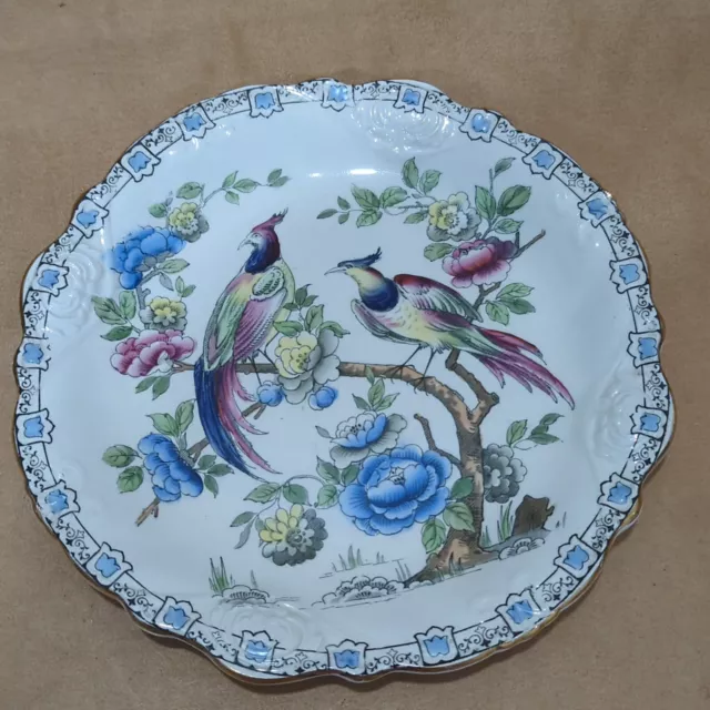 18th Century French Plate Birds Collectable Handmade Porcelain