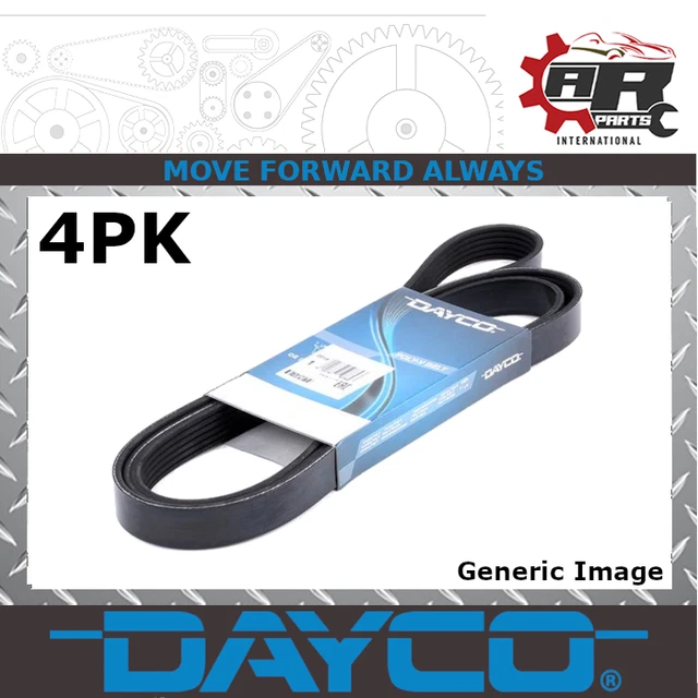 HWWEI PK625 Rippenriemen – 4–10 Rippen, 625 Mm Umfang, 3,56 Mm Rippenabstand – Poly-V-Band – Hochwertiger Gummi – Für Maschinen & Antriebe – Verschleißfest