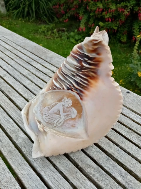 Magnifique Coquillage Sculpte Ancien Camee . Grand Modele . Decor Divinite