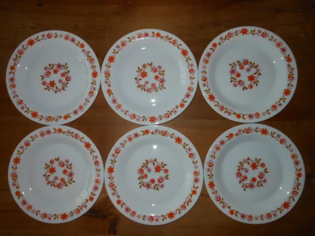 6 assiettes à dessert en Arcopal motif Scania  vintage