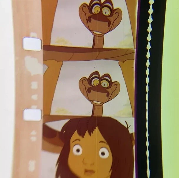 Pellicola Per Libri Trasparente BRUNNEN | Rotolo 5m X 400mm - Protezione Antigraffio E Umido - Foto 6