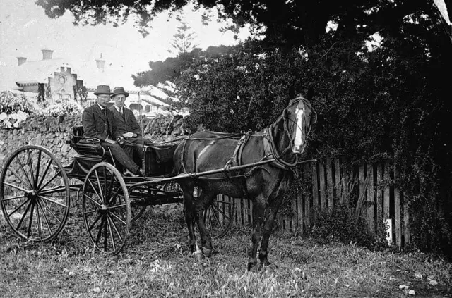 Warrnambool, Victoria, 1910 Two men in a horse-drawn carriage Old Photo