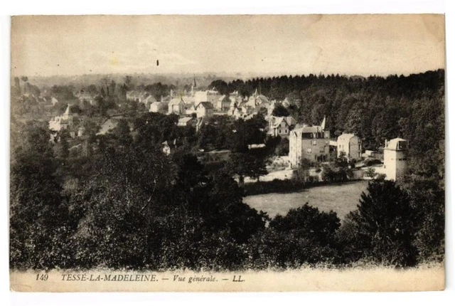 CPA TESSÉ-la-MADELEINE - Vue generale (195222)