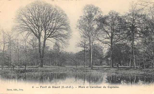 91-Foret De Senart-Mare Et Carrefour Du Capitaine-N�6025-E/0231