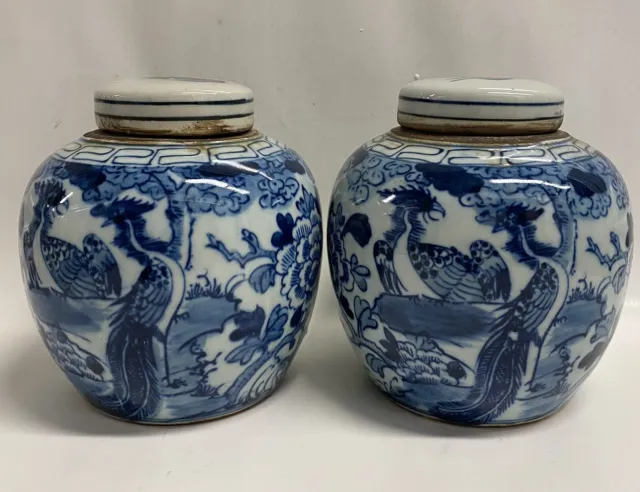 2 Chinese Blue & White Porcelain  Peacocks Tea Caddy w/Lids 6” H x 5 1/2”w