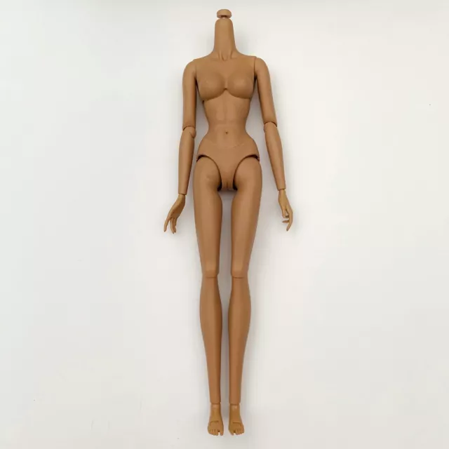 Integrity FR 16 Fashion Royalty 16” inch Hispanic Skintone Articulated Doll Body 3