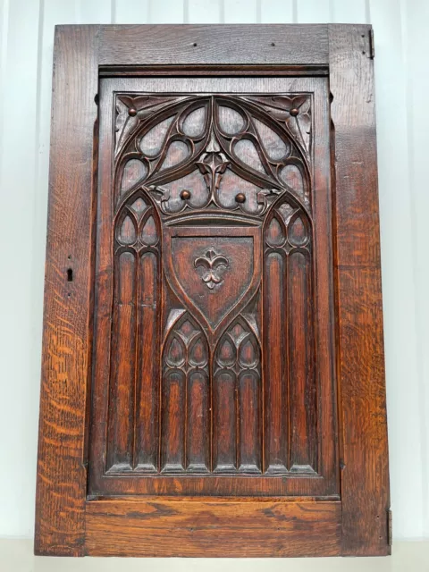 Stunning Gothic Revival Door panel Carved in oak