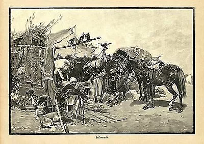 Ein Falkenmarkt im Jahre 1895 Jagdbild Pferd Hund Zelte Sand Wilderer A3 100