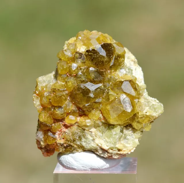 Granat Andradite-Grossular Var. Grandite 25 Gramm - Diakon, Kayes Region, Mali