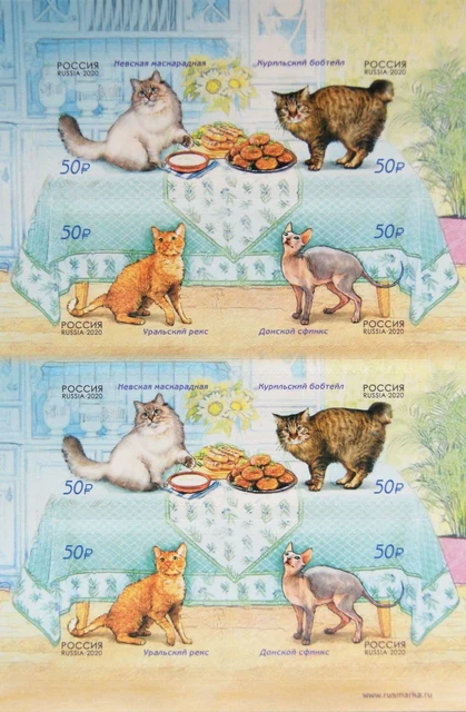 RUSSIA RUSSLAND 2020 KLB 2834-37 Fauna domestic Animals Cats Katzen Tiere MNH