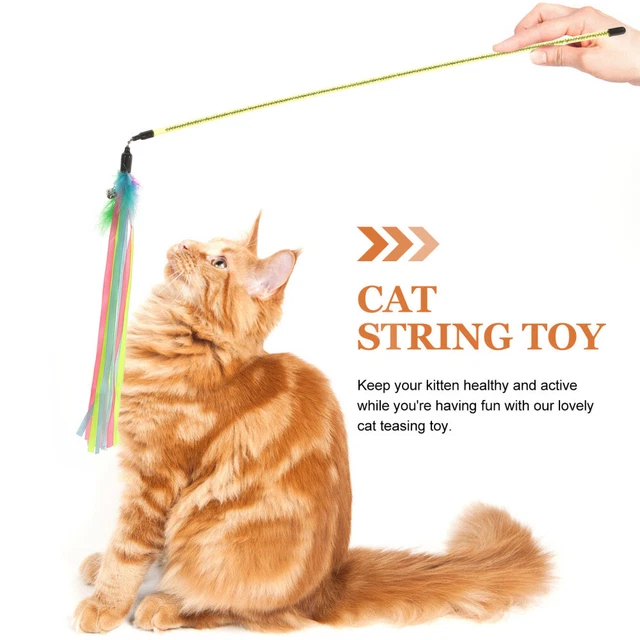 Kitten Toys Cat Essentials Indoor Cats Ribbon Cat Teaser Cat Toy 5