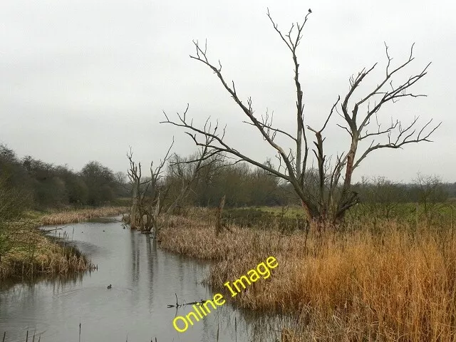 Photo 6x4 Slimbridge Wildfowl Reserve Shepherd's Patch WWT Slimbridge is  c2012