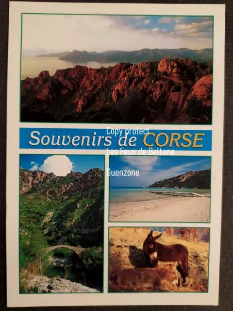 SOUVENIR DE CORSE multivues carte postale