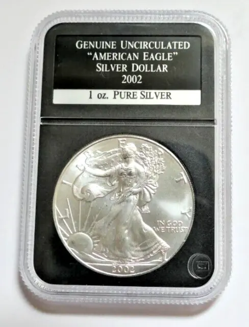 2002 American Silver Proof $1 Eagle Coin - 1 Oz Of Fine Silver ~ BUC ~ Slabbed