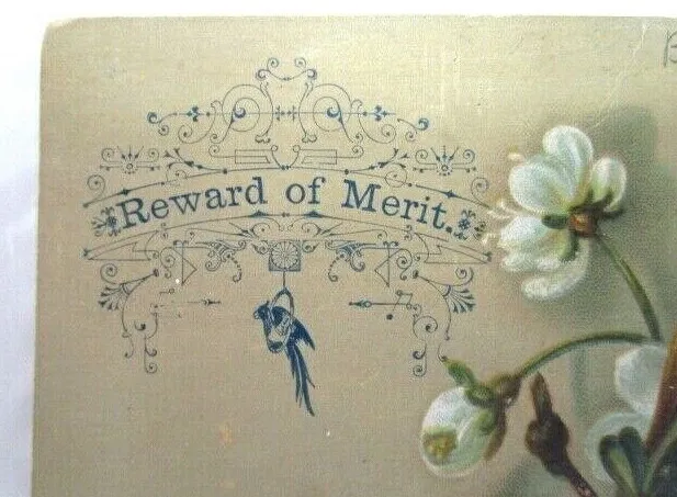 REWARD OF MERIT Card, Image Of Rose Colored Flowers- A18-48 $24.00 ...
