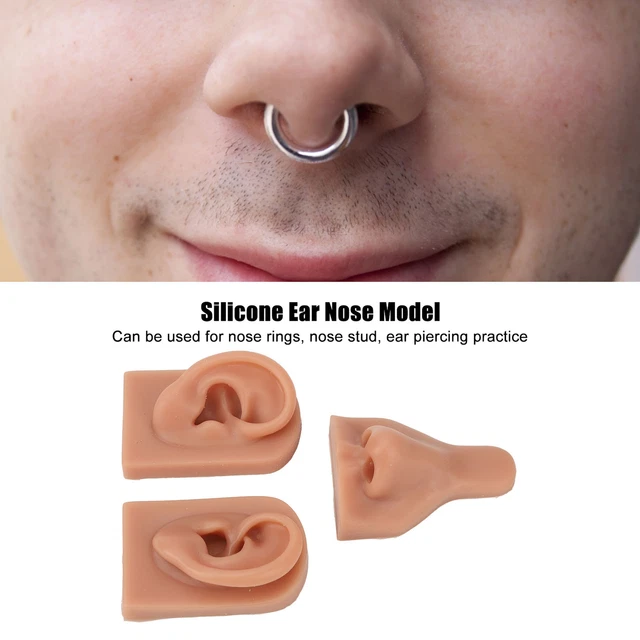 Modello 'orecchio Del Naso In Silicone 3D Simulazione Set Del Modello D DB3