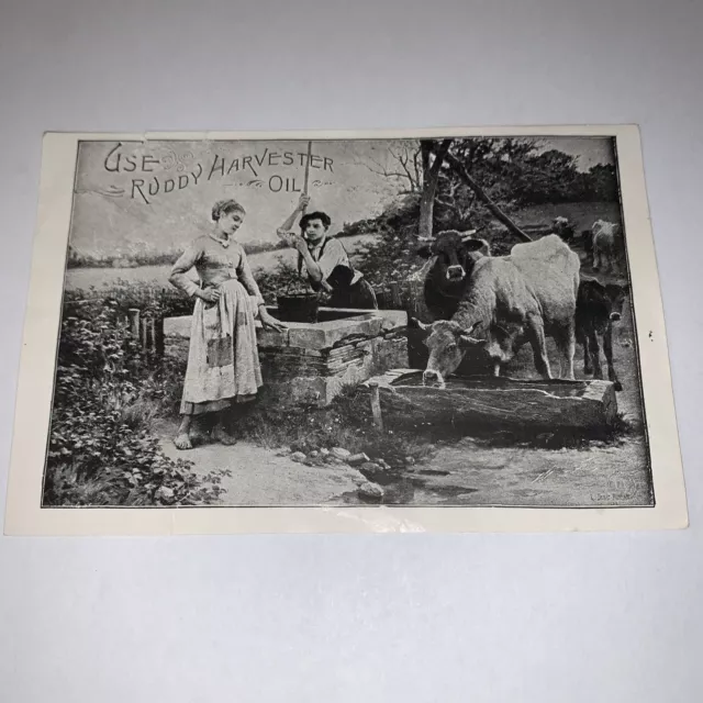 Vintage Advertising Card London Wisconsin Use Ruddy Harvester Oil Farming