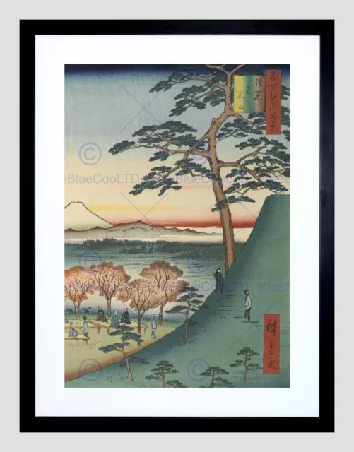 Original Fuji Meguro Views of Edo Hiroshige Woodblock Framed Wall Art Print