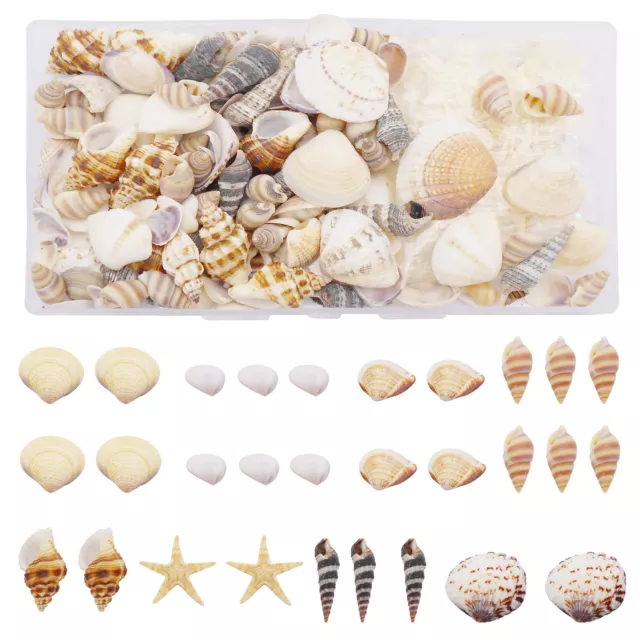 200 Mix Natural Shells 1-3 cm Starfish Conch Seashells For Crafts Nautical Decor