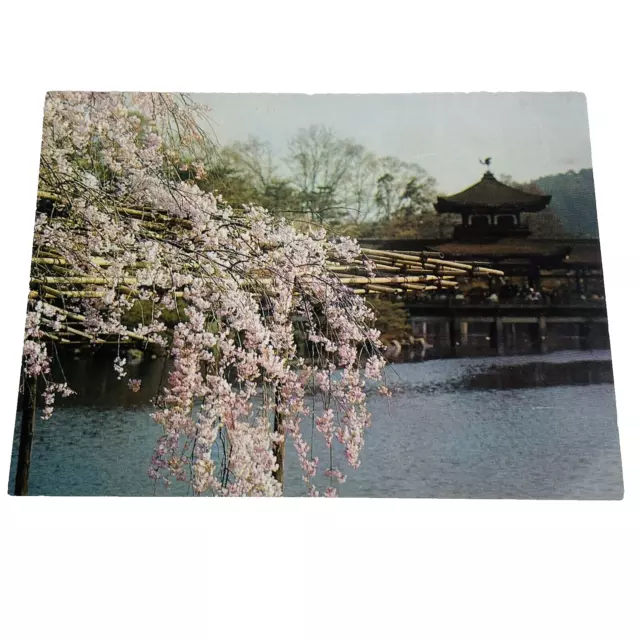 Kyoto Japan Heian Shrine Cherry Blossoms Scenic Vintage UNUSED Postcard