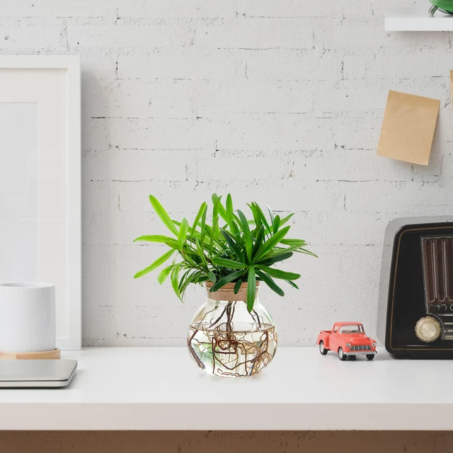 PIANTATRICE DI PIANTE Idroponica Fioriera Da Appartamento Interno EUR