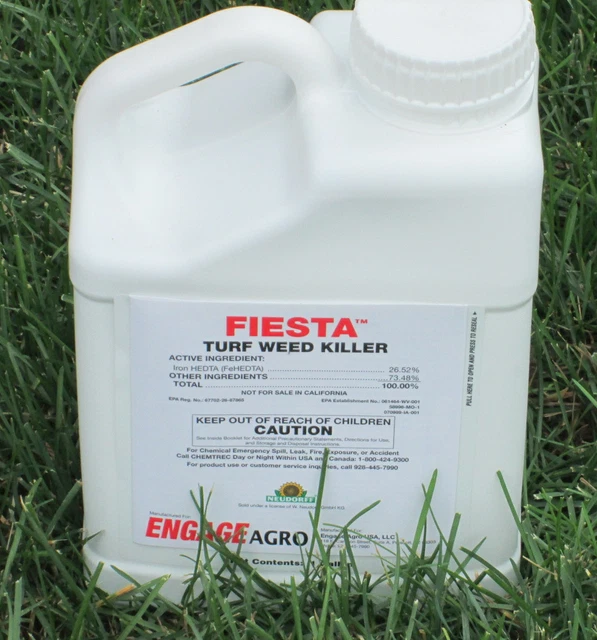 IRON X BASED Broadleaf Weed Killer Safe For Kentucky Bluegrass Lawn