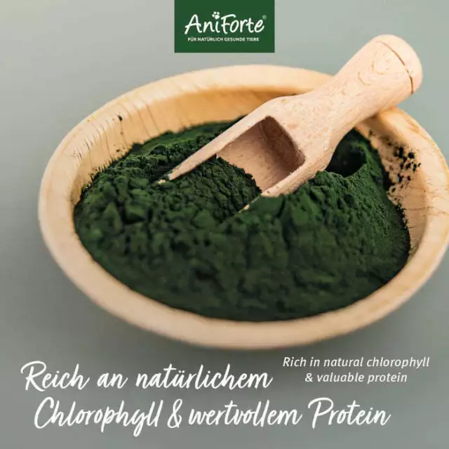 Natürliche Proteinquelle AniForte Bio Spirulina Pulver Hund Katze 250 g 2