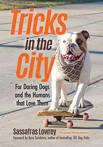 Tours En The City : Pour Audacieuses Dogs Et Humans That Love Les Par Lowrey,SAS