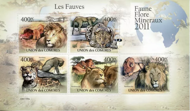 Comoros Wild Animals Stamps 2011 MNH Big Cats Lions Leopards Fauna 5v M/S