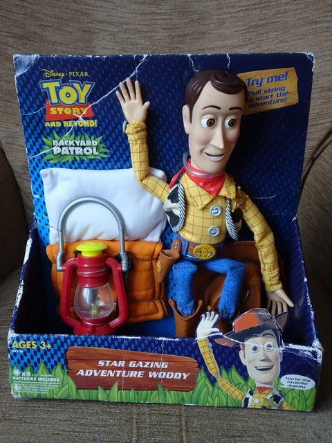 Woody's Wild Adventure (Disney/Pixar Toy Story 3) (A Stepping
