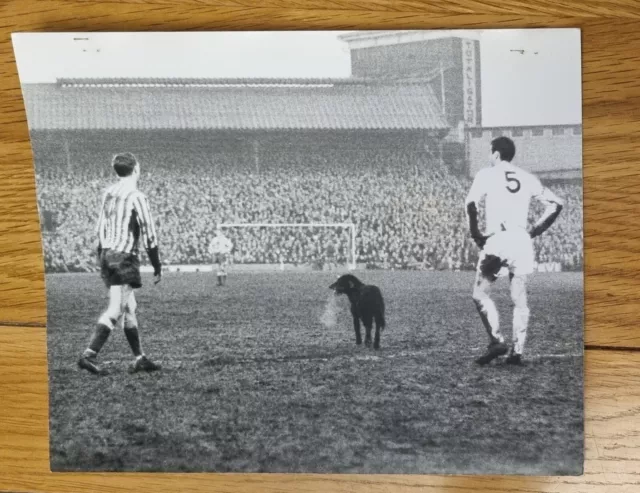 Millwall v Tottenham/Spurs 1966/67 FA Cup Original Press Photo