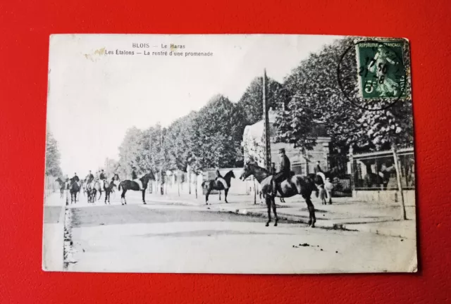 CPA 41 BLOIS - Le Haras - Les Etalons - La Rentré d'une promenade