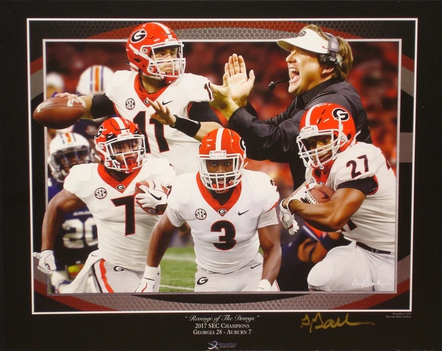 Georgia Bulldogs football 2017 SEC Championship print