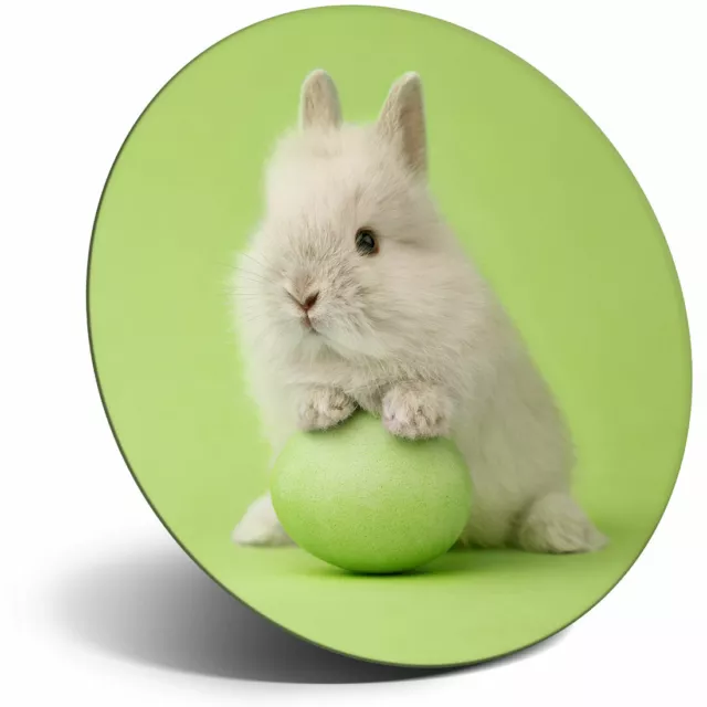 Awesome Fridge Magnet - Cute Easter Bunny Rabbit Baby Cool Gift #21486