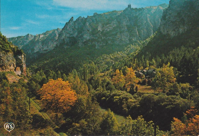 ALTE POSTKARTE - Les Gorges du Tarn EUR 4,95 - PicClick DE