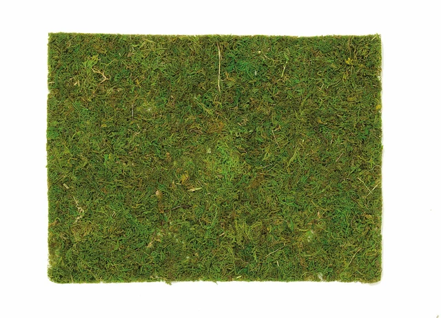 Placa de musgo 40x30 cm decoración casa jardín adviento ferrocarril marco musgo cuna juego