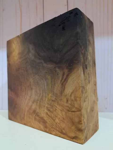 LG INSANELY SPALTED Ojo de Pájaro Arco Iris Álamo Burl Pluma de Madera Stock