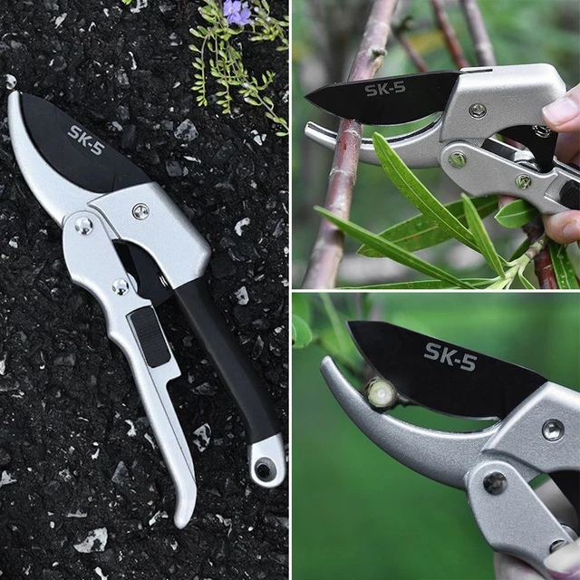 de jardin Cisailles d'élagage Pruneur greffage Outil de greffage de jardin