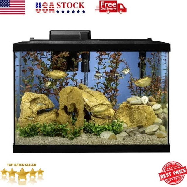 Rectangular Glass Desktop Aquarium Starter Kit W/ Filter Plants Heater 20 Gallon
