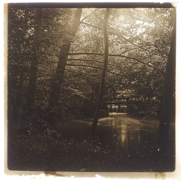 Landscape Romantic Forest c1930 Photo Stereo Glass Plate Vintage VR16L24n13