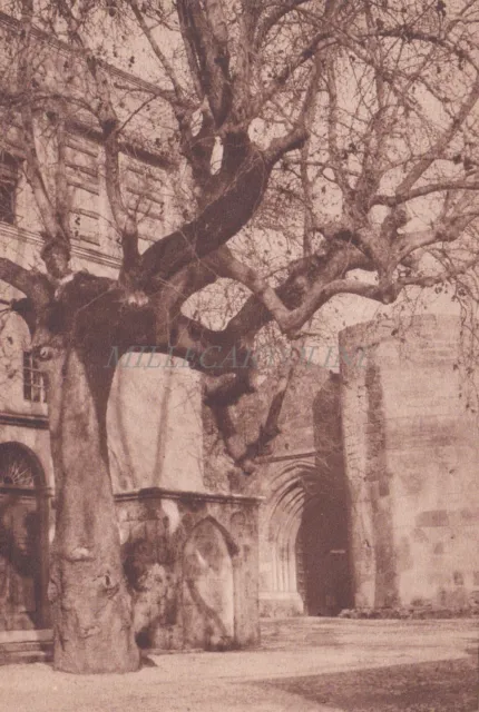 GREECE - Rodi Rhodes, Il Palazzo del Gran Maestro, Postcard