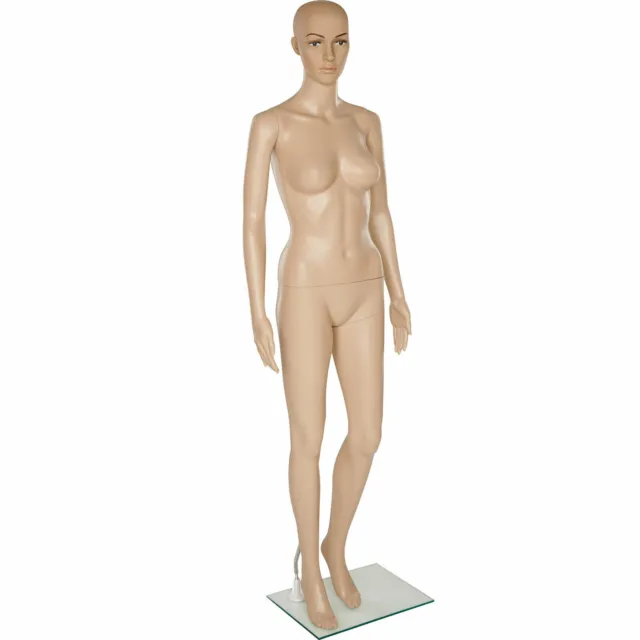 HIGH QUALITY LINGERIE FEMALE MANNEQUIN TORSO BODY FORM DISPLAY