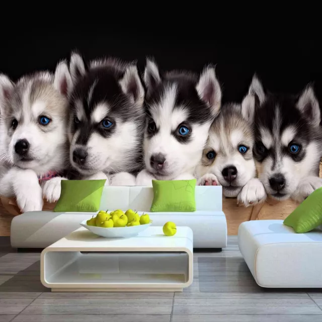 Cute Dog Animal Puppy Photo Wallpaper Mural Pets Children Room Vet Poster Husky