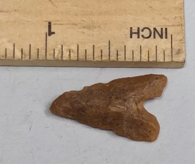 Stone age NEOLITHIC Arrowhead thousands of years old From Africa (#F5501)