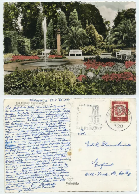 58060 - Bad Pyrmont - palm garden - real colored photo - postcard, run 29.5.1963