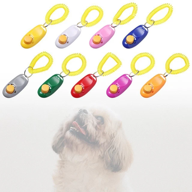 Cuccioli addestramento mobilità cani addestramento clicker animale domestico addestratore aiuto