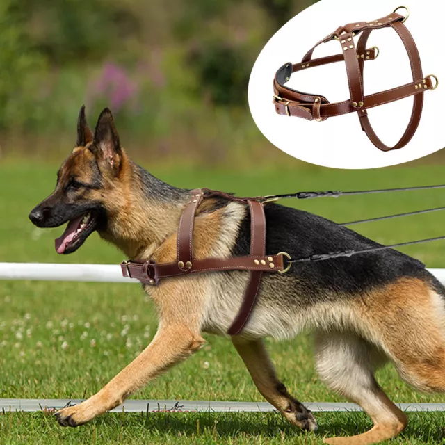 Genuine Leather Dog Harness Big X-large Breeds Dog Cart Pulling Harness