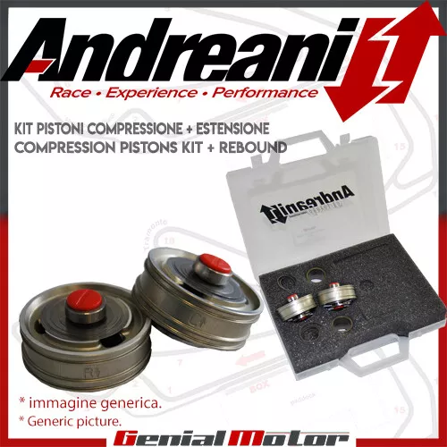 Andreani Kit Pistone Forcella Big Piston per Honda MOTO 3 2014 14