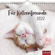 Für Katzenfreunde 2022: Wandkalender mit Monatskalend... | Livre | état très bon